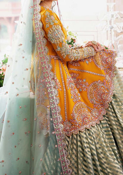 Akbar Aslam Dilaab Pakistani Luxury Net Dress - db24721