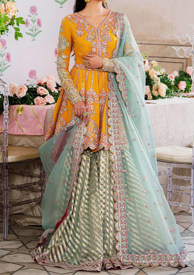 Akbar Aslam Dilaab Pakistani Luxury Net Dress - db24721