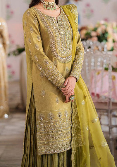 Akbar Aslam Meharzad Pakistani Luxury Raw Silk Dress - db24724