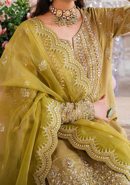 Akbar Aslam Meharzad Pakistani Luxury Raw Silk Dress - db24724