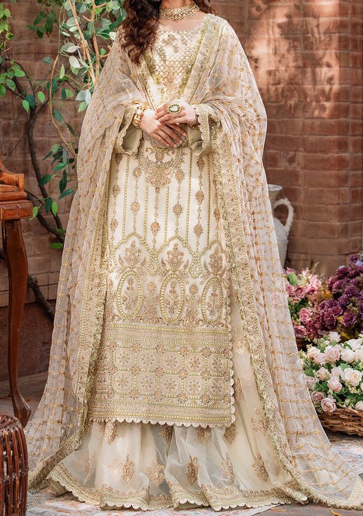 Akbar Aslam Mehrunisa Pakistani Luxury Net Dress - db24737