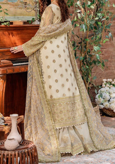 Akbar Aslam Mehrunisa Pakistani Luxury Net Dress - db24737