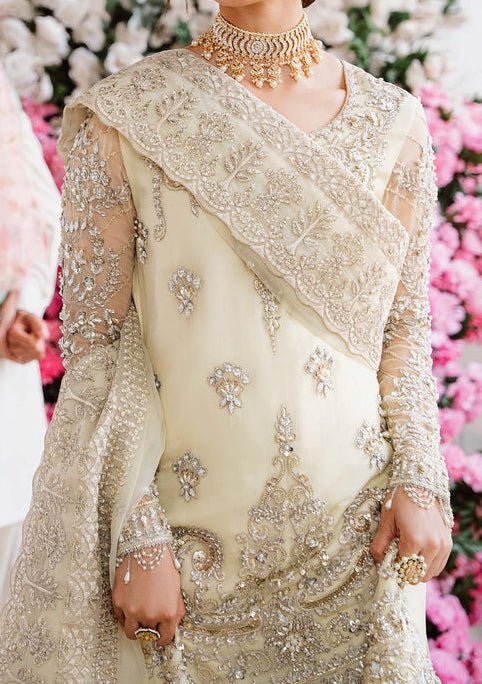 Akbar Aslam Nahla Pakistani Luxury Chiffon Dress - db24720