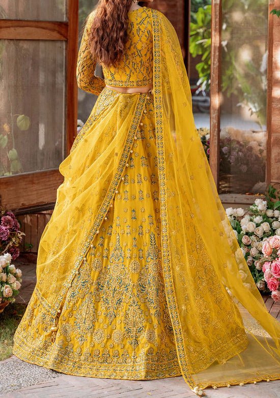 Pakistani ghagra choli deals