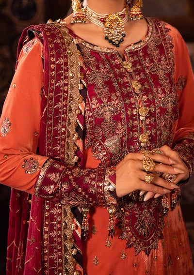 Asim Jofa Makhmal Pakistani Velvet Dress - db24379