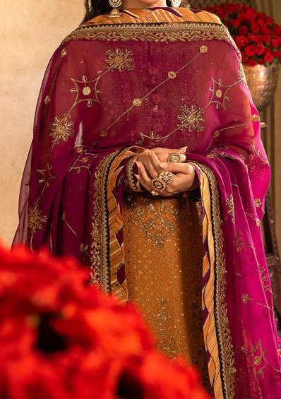 Asim Jofa Velvet Festive Pakistani Chiffon Dress - db24120