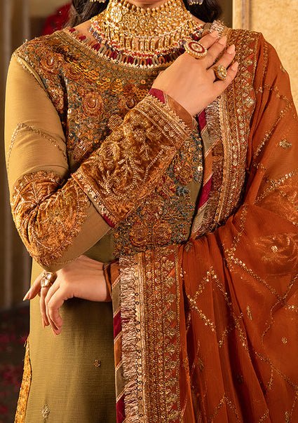 Asim Jofa Velvet Festive Pakistani Chiffon Dress - db24121