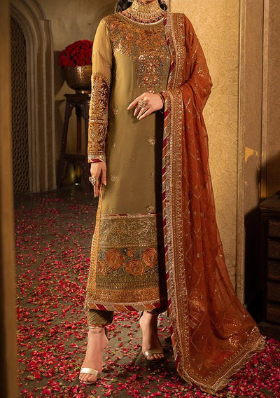 Asim Jofa Velvet Festive Pakistani Chiffon Dress - db24121