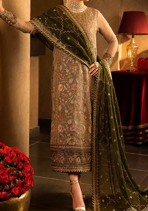 Asim Jofa Velvet Festive Pakistani Chiffon Dress - db24118