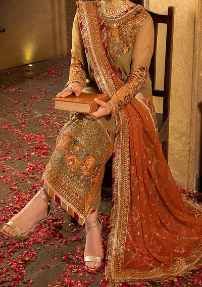 Asim Jofa Velvet Festive Pakistani Chiffon Dress - db24121