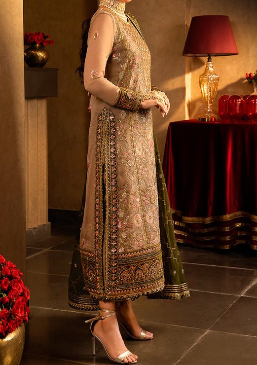 Asim Jofa Velvet Festive Pakistani Chiffon Dress - db24118