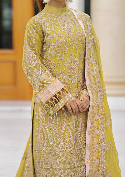Emaan Adeel Jabeen Pakistani Chiffon Dress - db23459