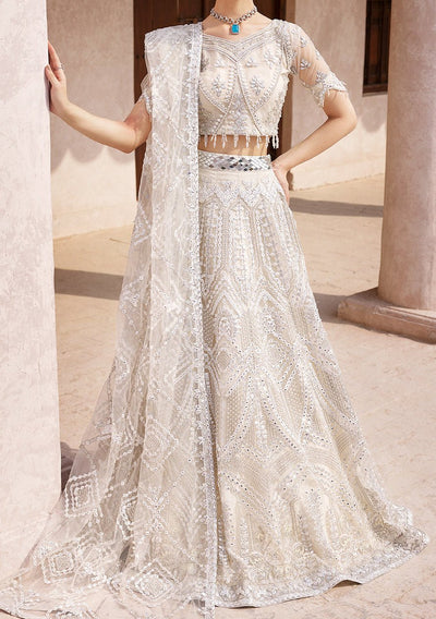 Emaan Adeel Pakistani Luxury Net Dress - db22651