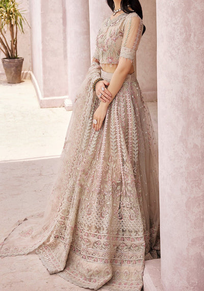 Emaan Adeel Pakistani Luxury Net Dress - db22656