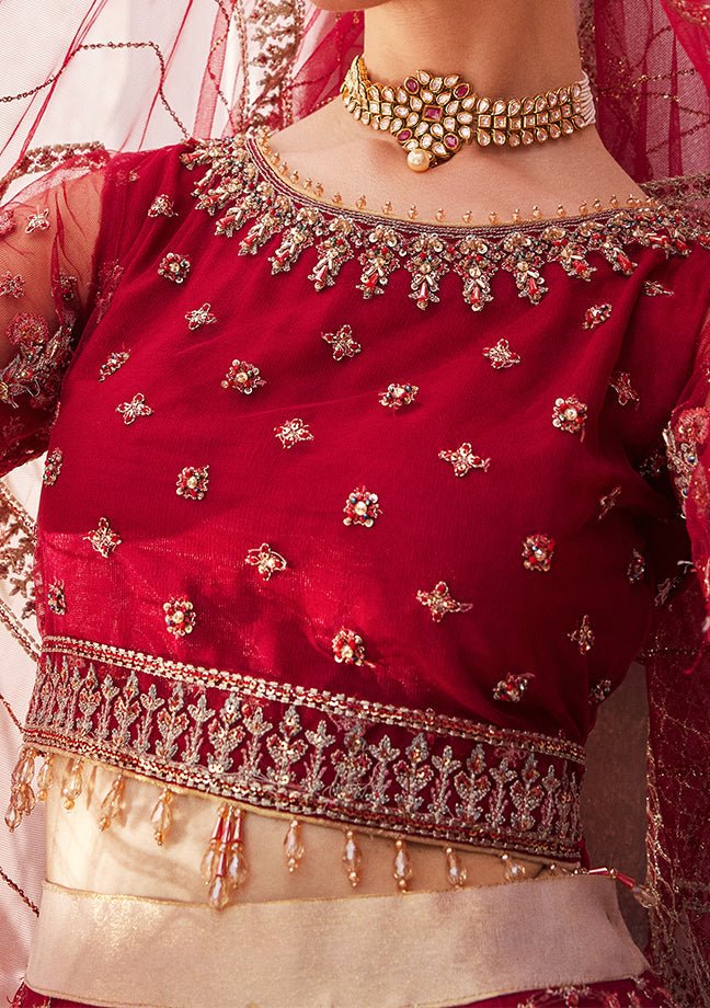 Emaan Adeel Pakistani Luxury Net Dress - db22653