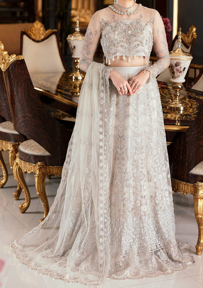 Emaan Adeel Pakistani Luxury Net Dress - db22659