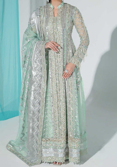 Freesia Pakistani Luxury Anarkali Organza Dress - db22523