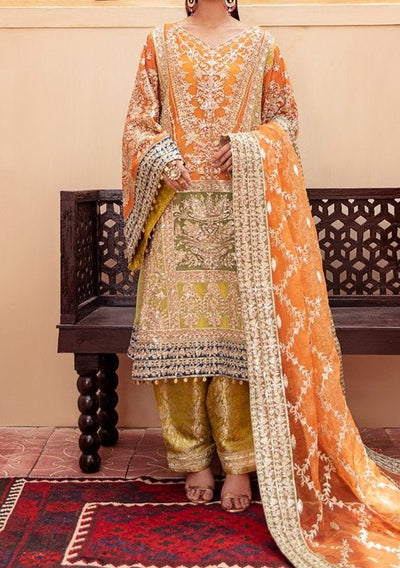Freesia Pakistani Luxury Organza Dress - db22529