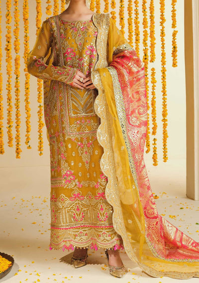 Freesia Pakistani Luxury Organza Dress - db22526