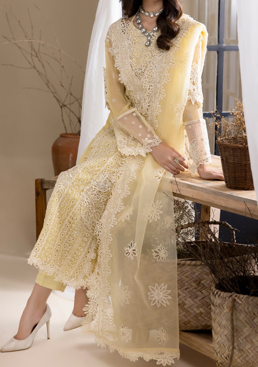 Iznik Delilah Pakistani Luxury Chiffon Dress - db23412