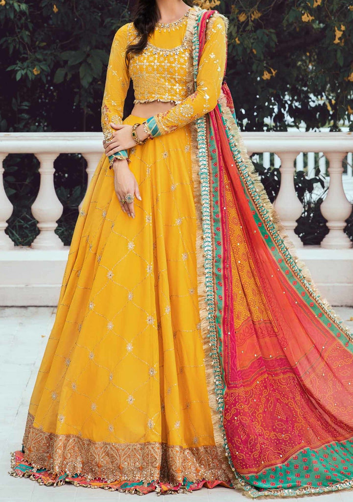 Pakistani Grey Color Attractive Party Wear Lehenga Choli Collection –  TheDesignerSaree