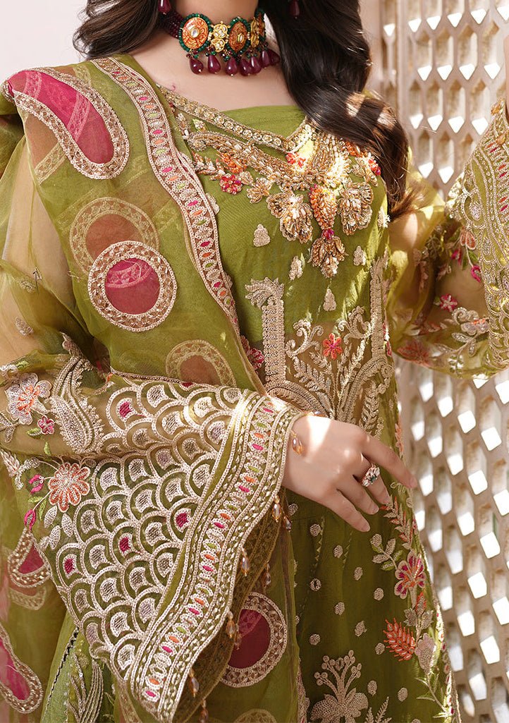 Maryam's Lemilsa Pakistani Luxury Organza Dress - db23916