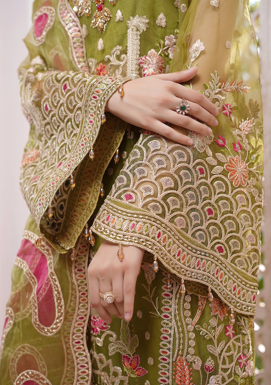Maryam's Lemilsa Pakistani Luxury Organza Dress - db23916