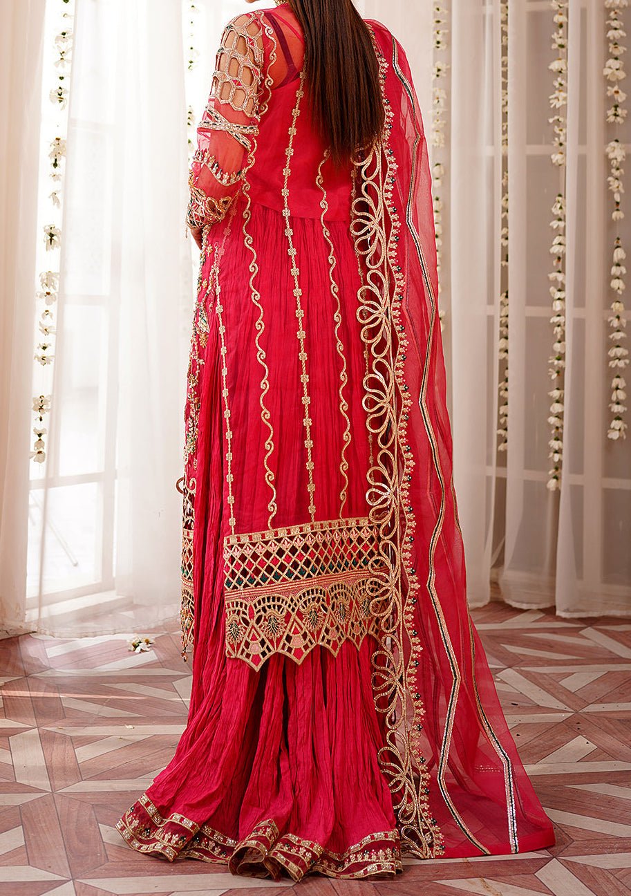 Maryam's Pakistani Luxury Organza Dress - db22398