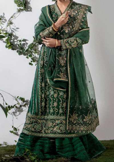 Maryum N Maria Anais Pakistani Chiffon Dress - db24759