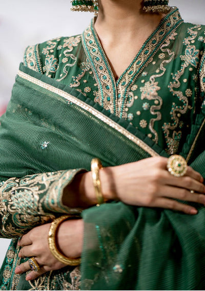Maryum N Maria Anais Pakistani Chiffon Dress - db24759