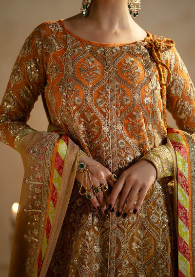 Maryum N Maria Citrine Pakistani Organza Dress - db24413