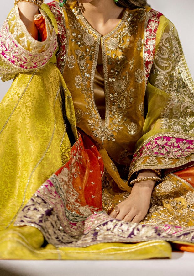 Maryum N Maria Lena Pakistani Organza Dress - db24763