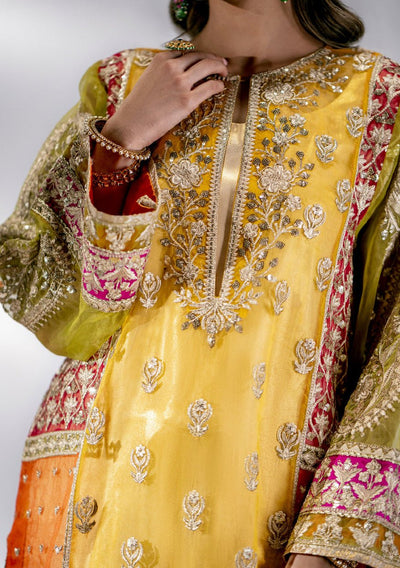 Maryum N Maria Lena Pakistani Organza Dress - db24763