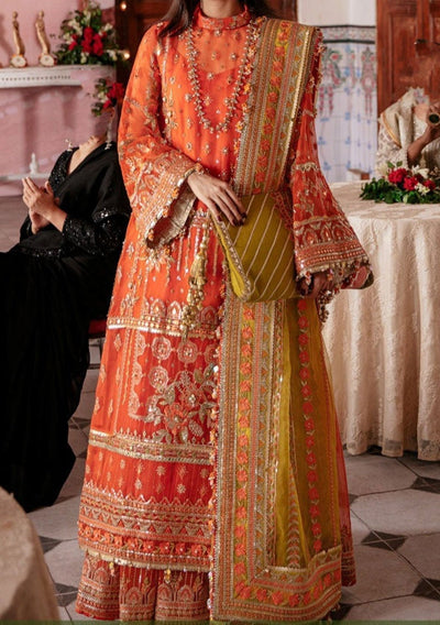 Pakistani Embroidered Master Copy Organza Dress - db21670