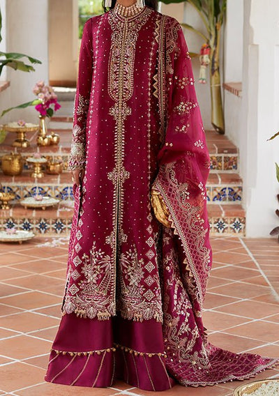 Pakistani Embroidered Master Copy Organza Dress - db21776