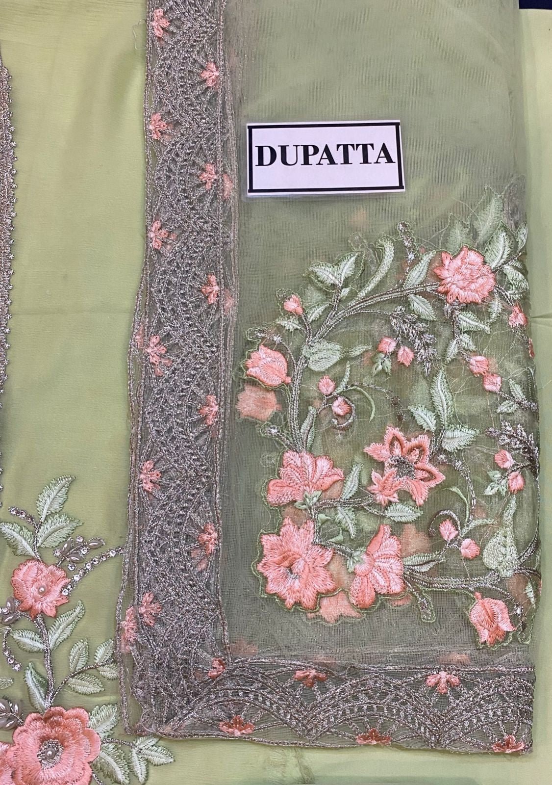 Raeesa Embroidered Pakistani Master Copy Dress - db18223