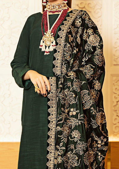 Ramsha Pakistani Embroidered Velvet Shawl - db24542