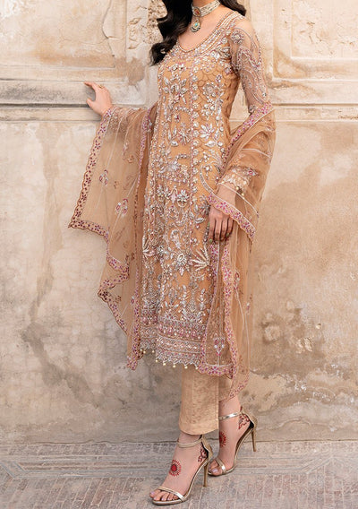 Ramsha Pakistani Luxury Net Dress - db22636