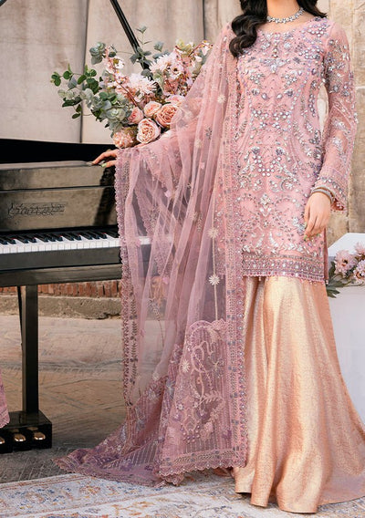 Ramsha Pakistani Luxury Net Dress - db22632