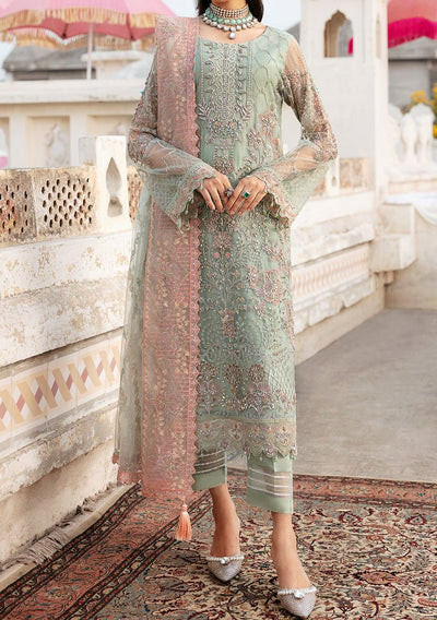 Ramsha Wedding Pakistani Luxury Net Dress - db24846