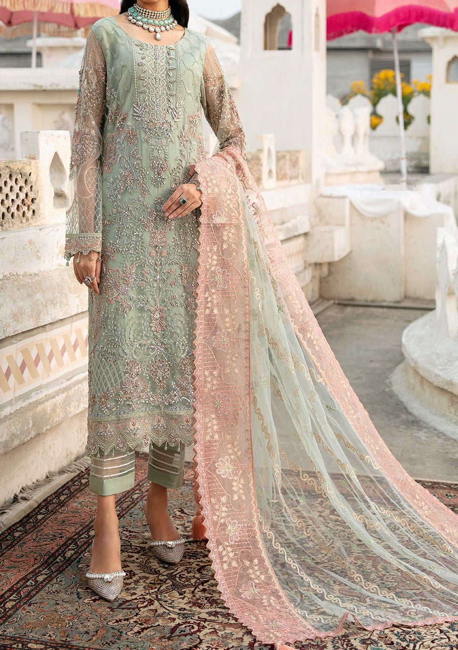 Ramsha Wedding Pakistani Luxury Net Dress - db24846