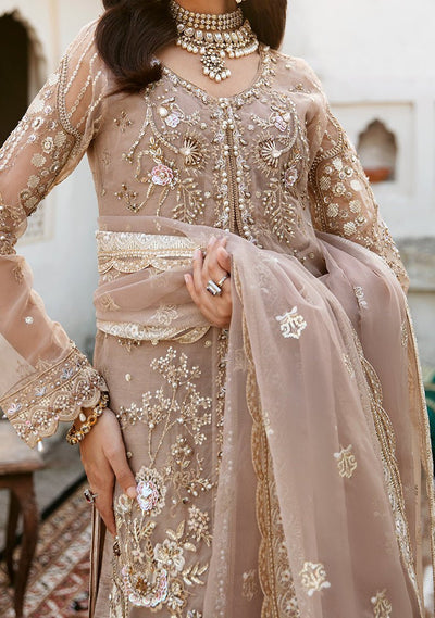 Ramsha Wedding Pakistani Luxury Organza Dress - db24848
