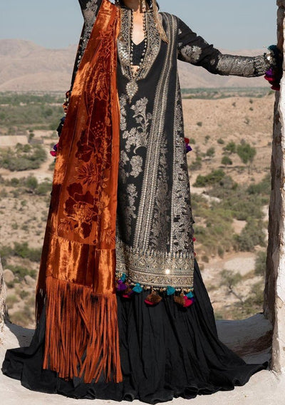 Sana Safinaz Winter Pakistani Luxury Dress - db24052